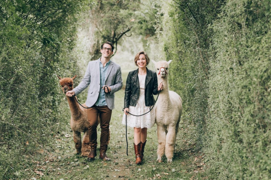 leaves greenery cove tunnel couple happy walking alpacas leather jacket Bluebird Farm Alpacas Engagement fall autumn smiling happy candid cowboy boots