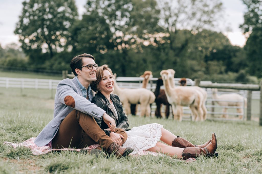 picnic blanket alpacas Bluebird Farm Alpacas Engagement fall autumn smiling happy candid cowboy boots