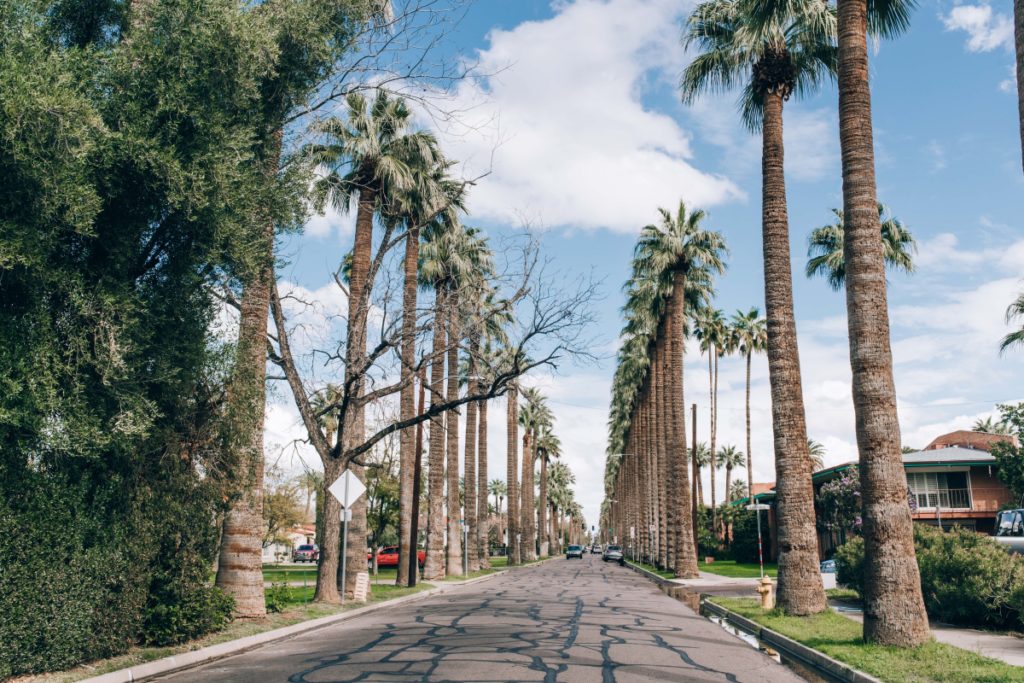 palm trees azblogger visit arizona sightseeing landscape breathtaking travelgram instatravel adventure travel blogger beautiful destinations igtravel wanderlust phoenix azwedding arizona wedding azwedding planner grand canyon national park get outside explore more arizona hiking sedona arizona flagstaff travel photography⁣ sedona vortex getaway vacation goals adventures in sedona sedona mountains magic places⁣ 