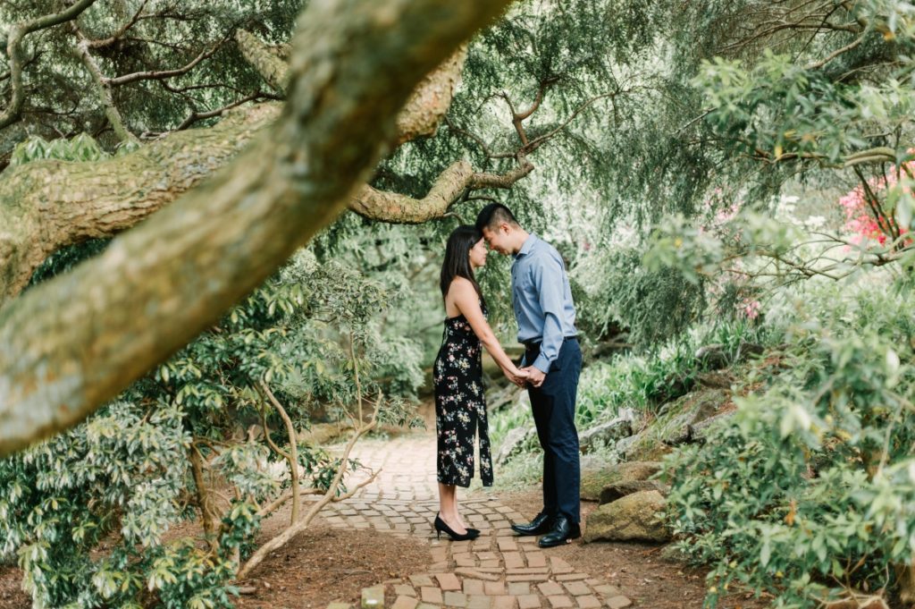 deep cut gardens middletown nj south jersey engagement session spring cherry blossoms