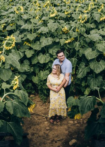 Alstede Farms Sunflower Maze: August Engagement Session