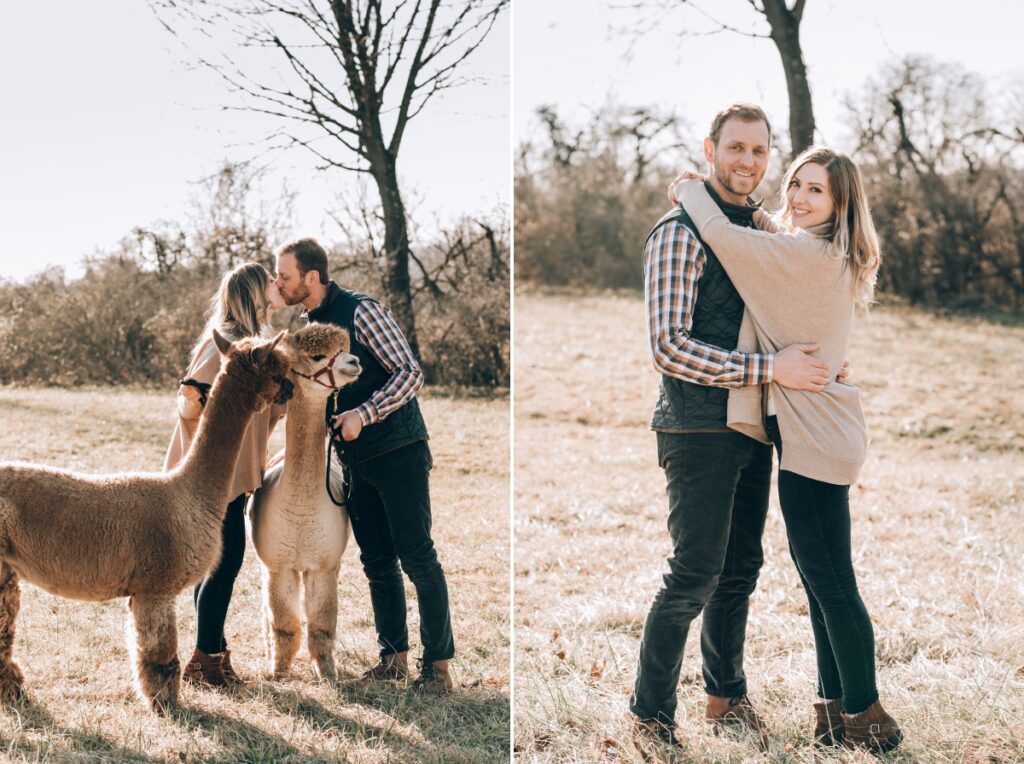 bluebird farm alpacas family session holiday session christmas december peapack-gladstone nj photographer somerset county nj