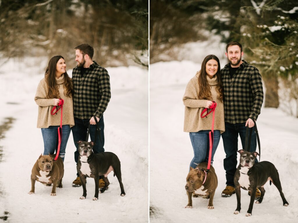 skylands manor, snow, engagement session, winter, february, ringwood manor, state park dogs pitbulls