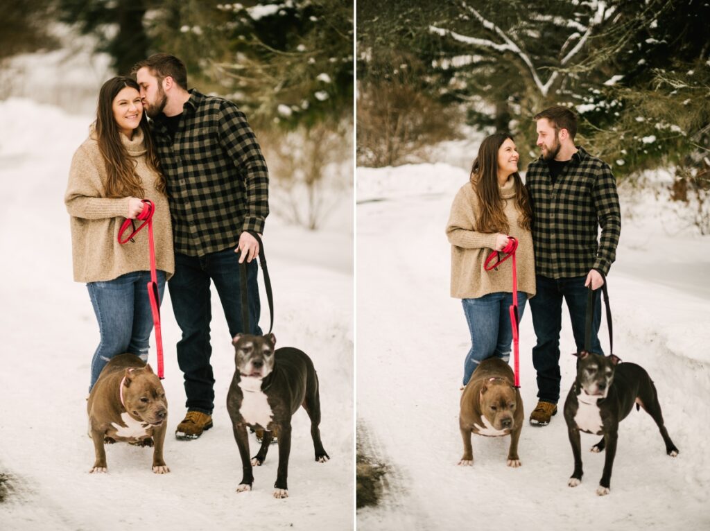 skylands manor, snow, engagement session, winter, february, ringwood manor, state park dogs pitbulls