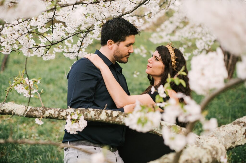 cherry blossoms dramatic moody maternity session game of thrones crown amaroq design skylands manor ringwood nj north jersey baby bump pregnant