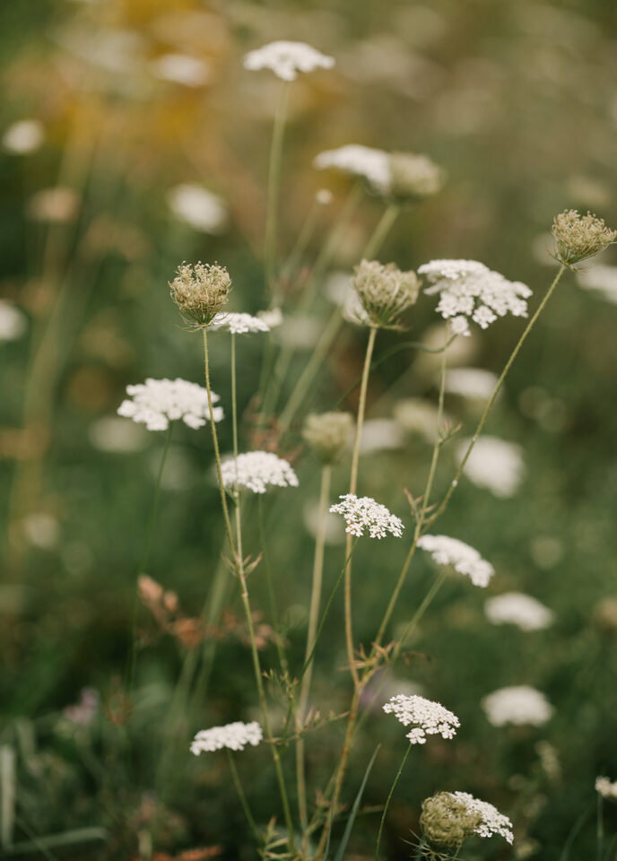 spruceton inn summer august wedding catskills NY anais asette