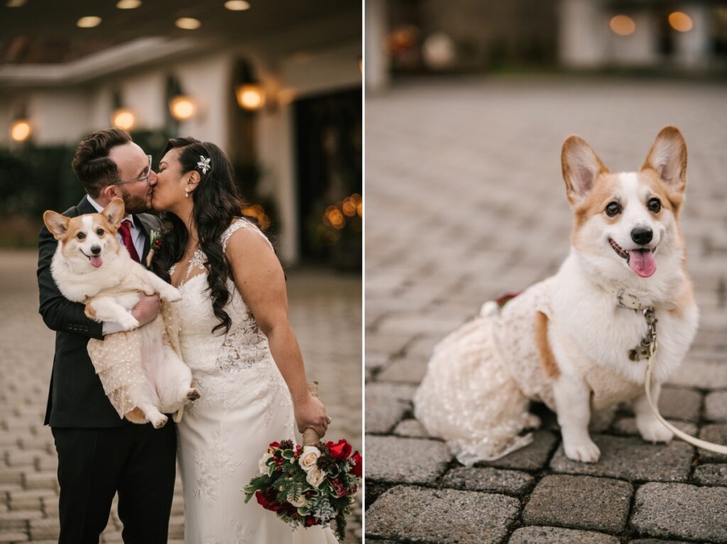 The Refinery at Perona Farms Christmas Wedding in Andover New Jersey Corgi Essense of Australia Stella York Windsor Azazie Indochino