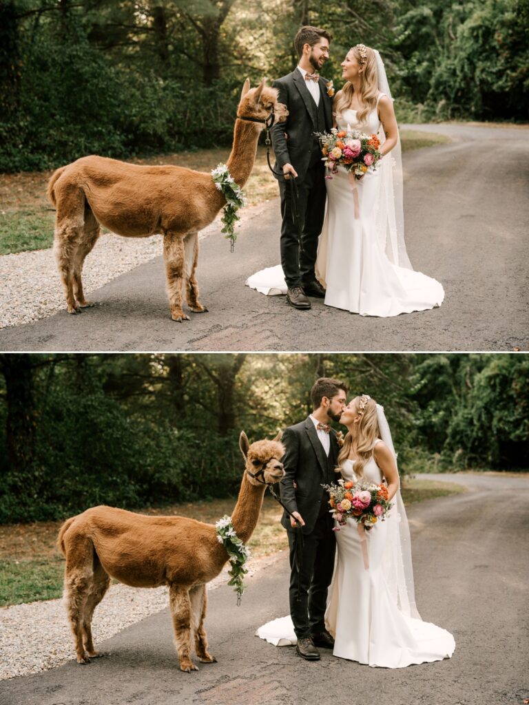 August Waterloo Village Wedding for Folded Crane Films Dress by Justin Alexander from Bridal Suite Boutique Suit from Studio Suits