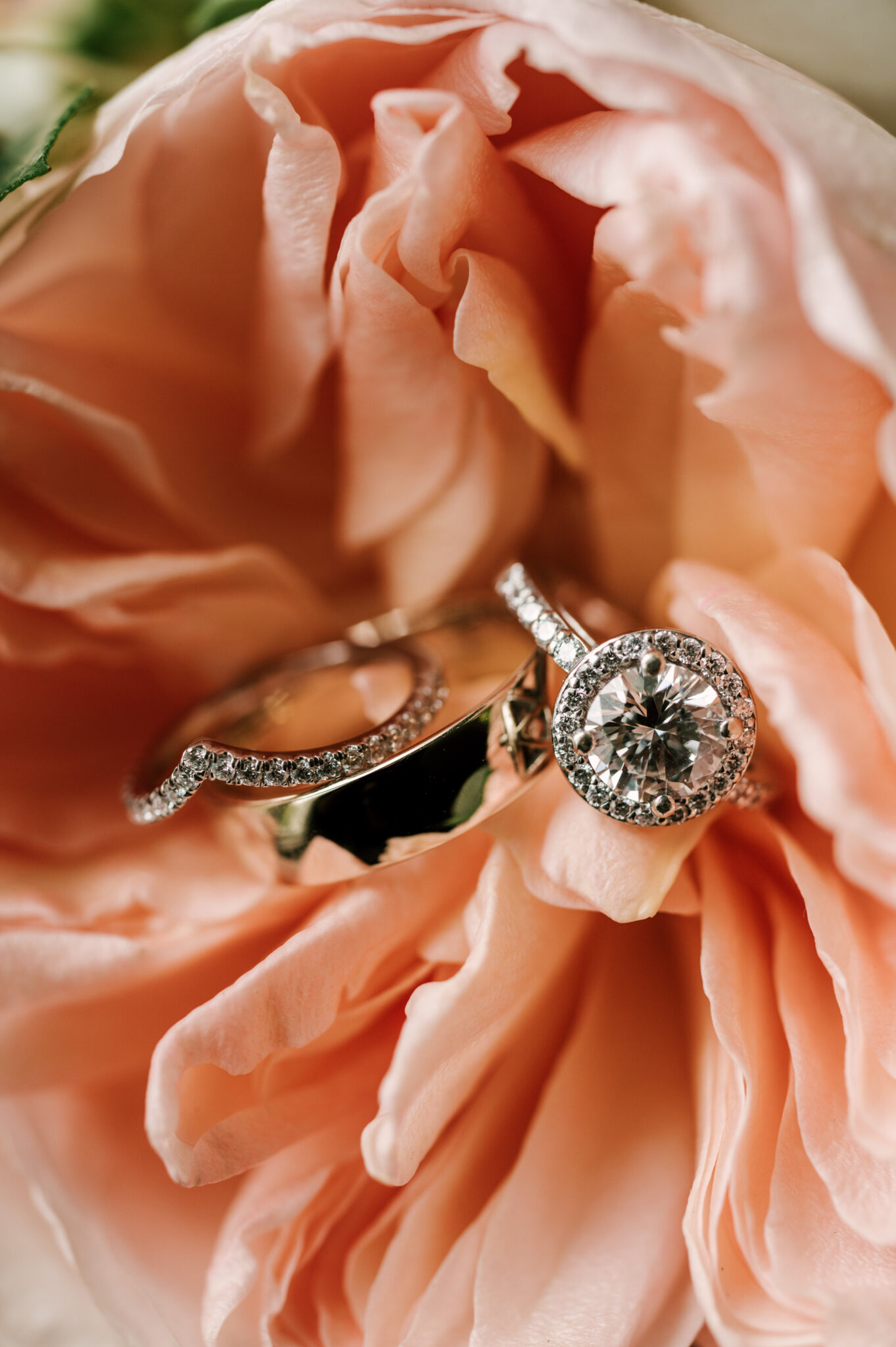 Botanical April Wedding: Stone House at Stirling Ridge - The Fox & The ...