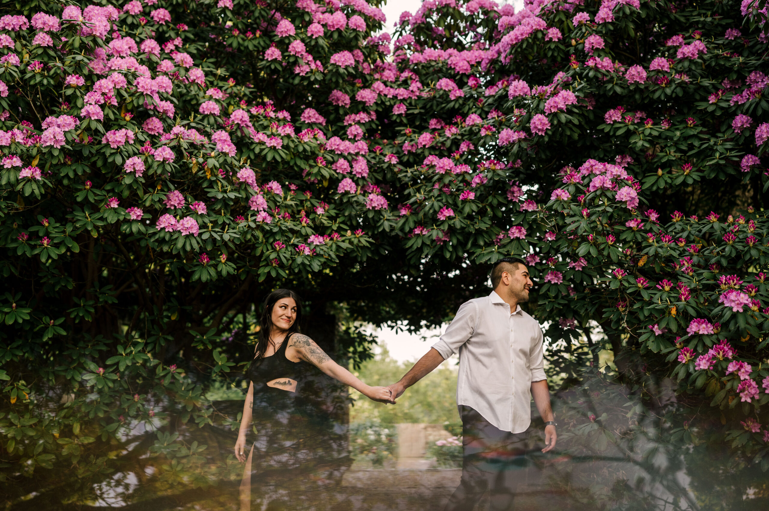 Couple holding hands under rhododendron flowers in spring. may engagement session at Cross Estate Gardens in Bernardsville New Jersey